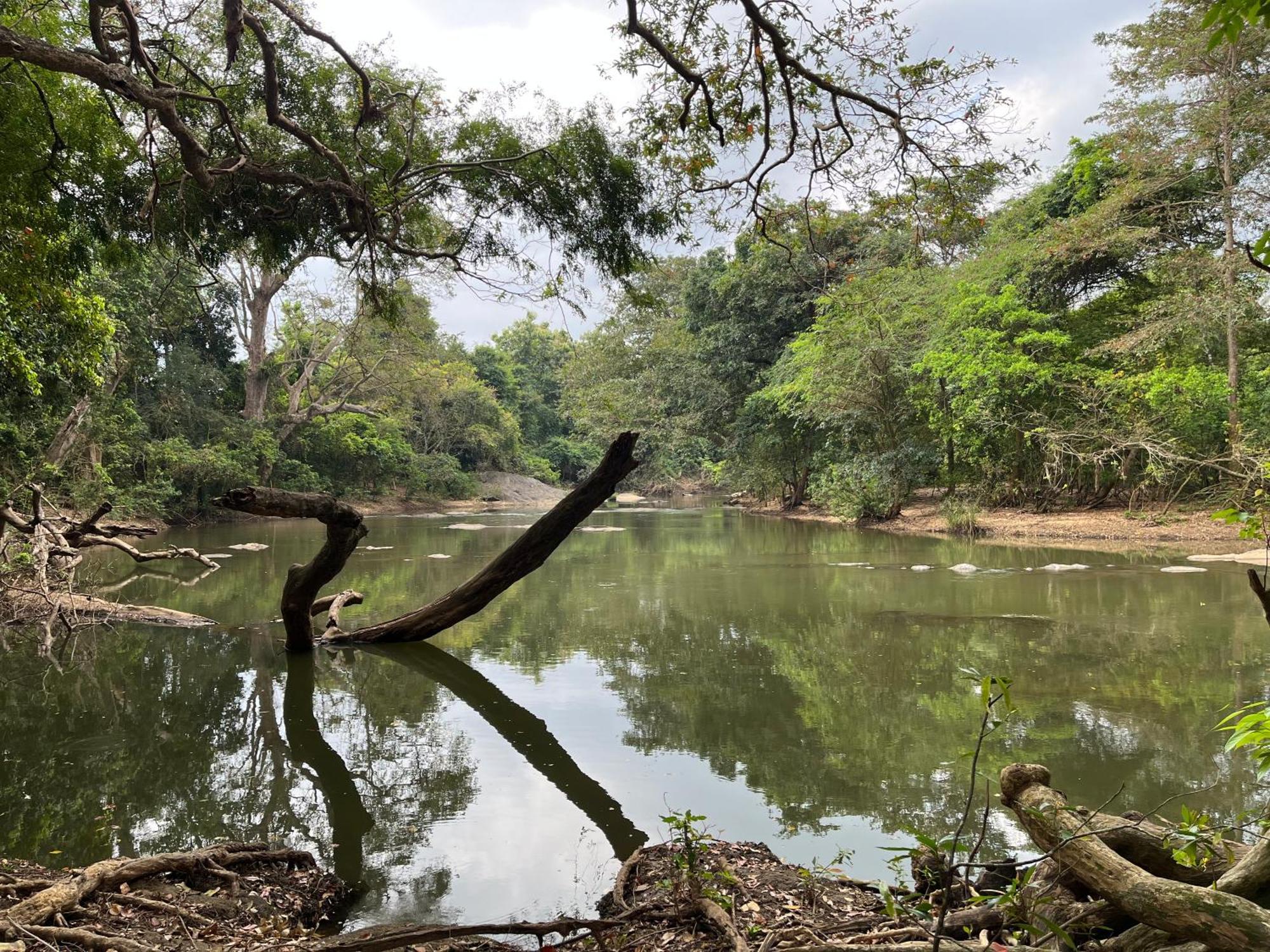 Rivendell Twisted Tree Villa Kurunegala Eksteriør bilde
